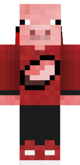 pig 