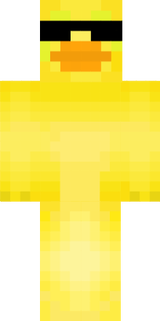 pulcino