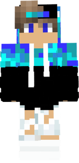 vit010