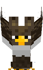 Coruja