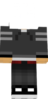 ViT_Ziks