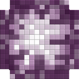 chorus_flwer
