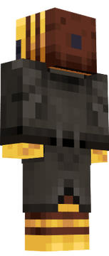 Bee coat v2