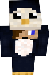 nyttskin