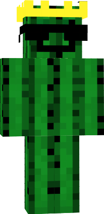 Preview of texture: X_Kaktus_1337