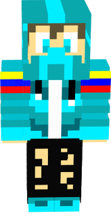 1 skin
