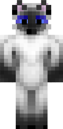 Preview of texture: kot