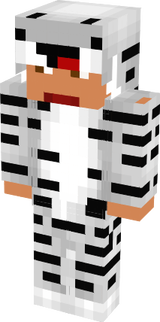 dsg