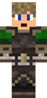Vane skin