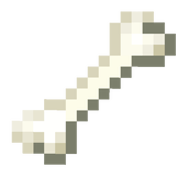 new bone