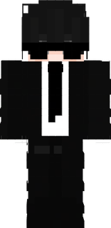 21314132