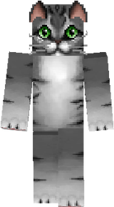 cicus