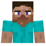 rtx steve