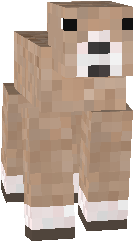 shepp