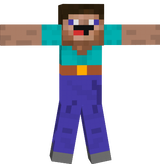 Derpy Steve