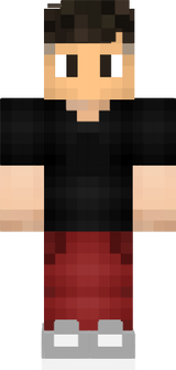 skin minecraft