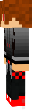 skin