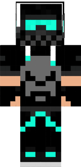skin