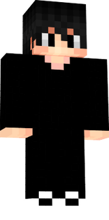 SkinDAN
