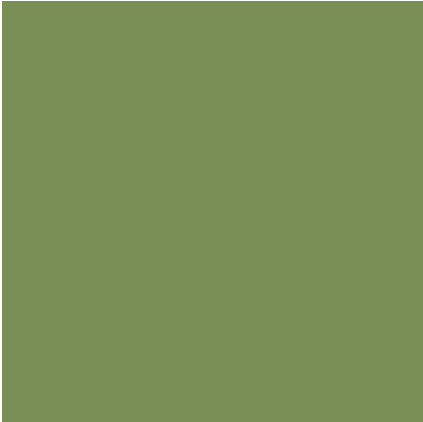 Preview of texture: mossy_stone_bricks