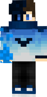TheSkyFox