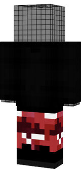 nauta2