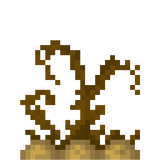 potatoes_stage3