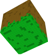 grass texture