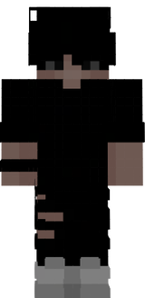 a1.1