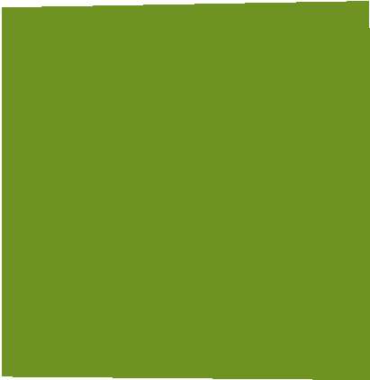 Preview of texture: melon_side