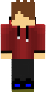 Plugin → para rigs