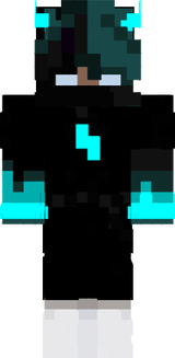 NASHE