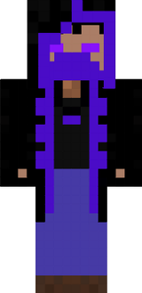 sdgoer