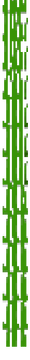 tall_seagrass_bottom