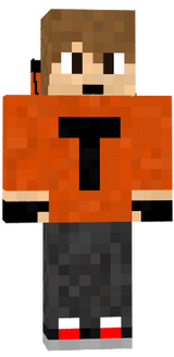 Toyto05 skin real