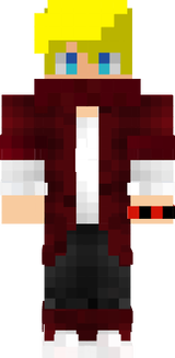 A SKIN DO SG