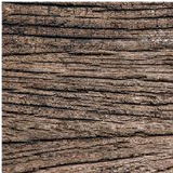 oak_log