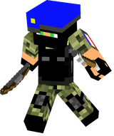 skin