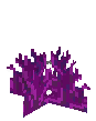 N8 grass
