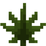 sugar cane