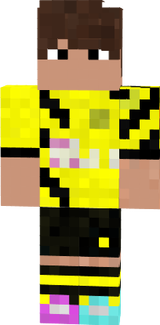 Dortmund Skin