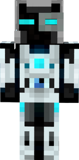 wizi114