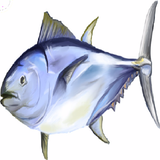 aa