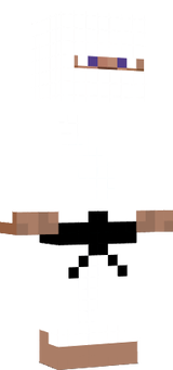 Ninja 1