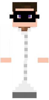 Mr.Plam