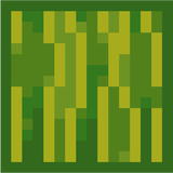melon_side