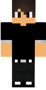 skin 22