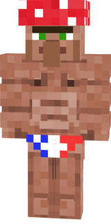 villager skin
