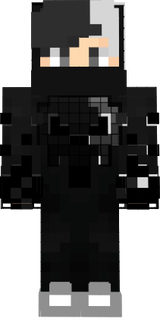 zweiter skin