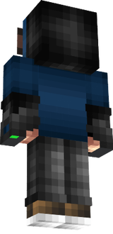 a skin